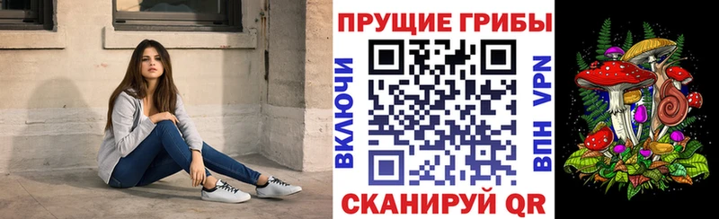 Купить  Новороссийск  Псилоцибиновые грибы Psilocybe 